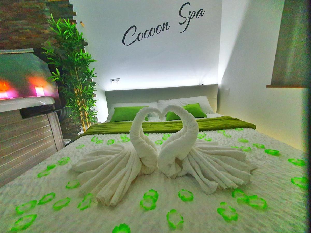 -Gite Cocoon Spa-Jacuzzi-Jardin-Parking Prive-Climatisation Holtzwihr Exterior photo